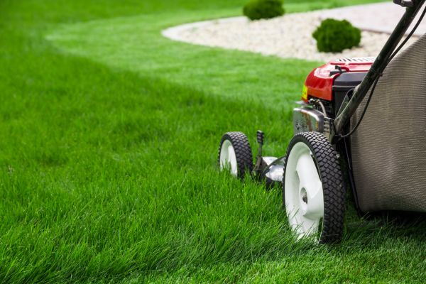 Lawn Cutting Service in West Chester
