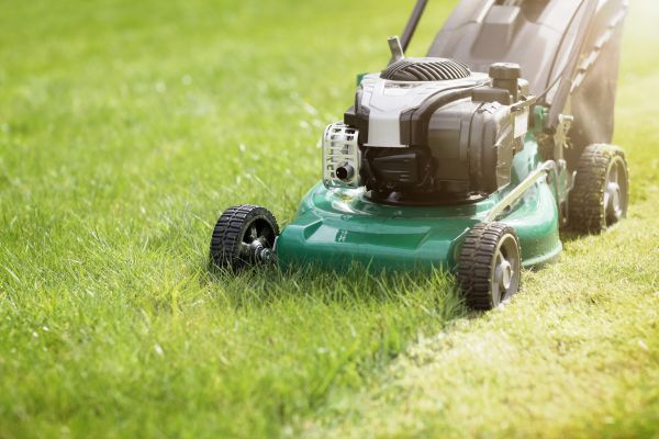 Yard Cutting in West Chester