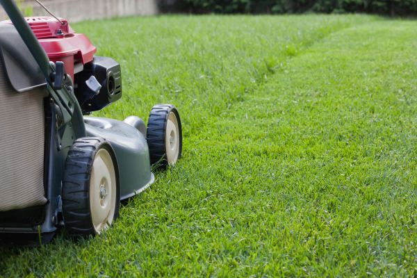 Residential Lawn Care in West Chester