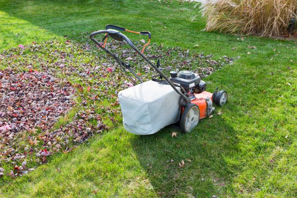 Seasonal Lawn Care in West Chester