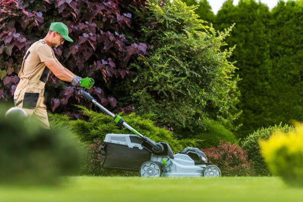Lawn Management in West Chester