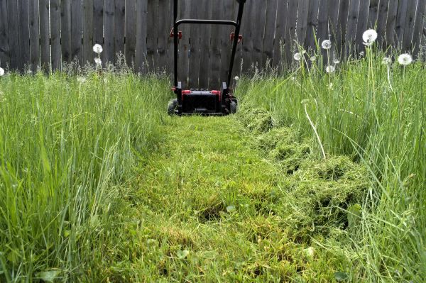 High Grass Mowing in West Chester
