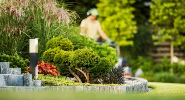 Residential Yard Maintenance in West Chester