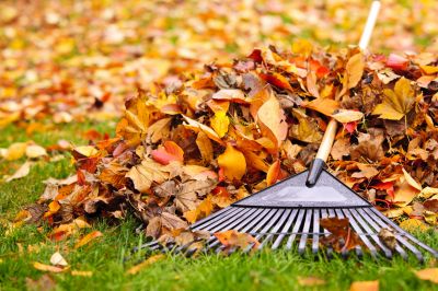 Seasonal Cleanup
