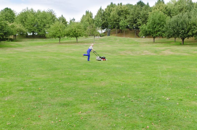Spring Lawn Mowing